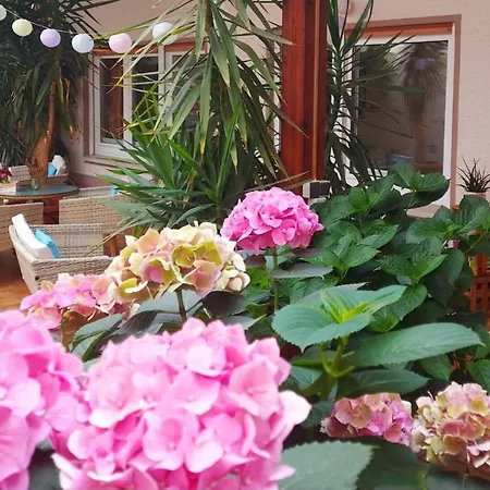 Gaestehaus Roehm Ilbesheim bei Landau in der Pfalz Exterior photo