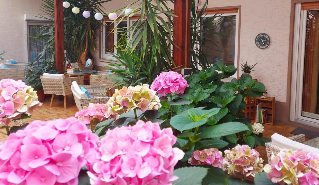 Homestay Gaestehaus Roehm